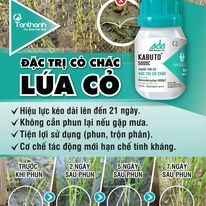 Công Ty TNHH Thương Mại Tân Thành 12