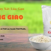 Xay Xát Hoàng Giao 5