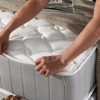 NS MILLENNIUM VIỆT NAM 10