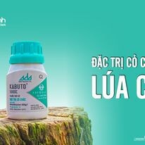 Công Ty TNHH Thương Mại Tân Thành 10