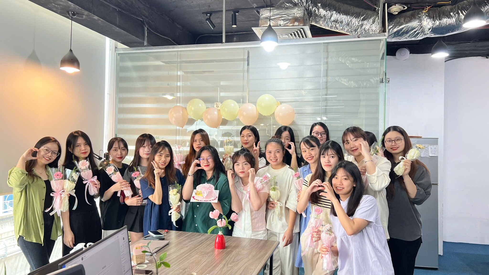 Human Solutions Việt Nam 9