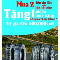 LỐP XE VIỆT - VIETTIRE 9