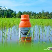 Công Ty TNHH Thương Mại Tân Thành 13