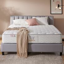 NS MILLENNIUM VIỆT NAM 7