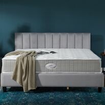 NS MILLENNIUM VIỆT NAM 12