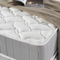 NS MILLENNIUM VIỆT NAM 11