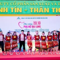 Sản Xuất Và Thương Mại Đại Long 1