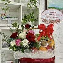 Vietrend Travel 8