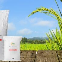 Xay Xát Hoàng Giao 8