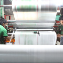 Bao bì Ánh Sáng 15