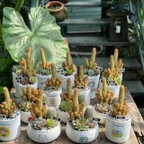 Trang Thiết Bị Y Tế Trọng Tín 13