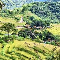 Nhà hàng Đặc Sản Pù Luôn 2