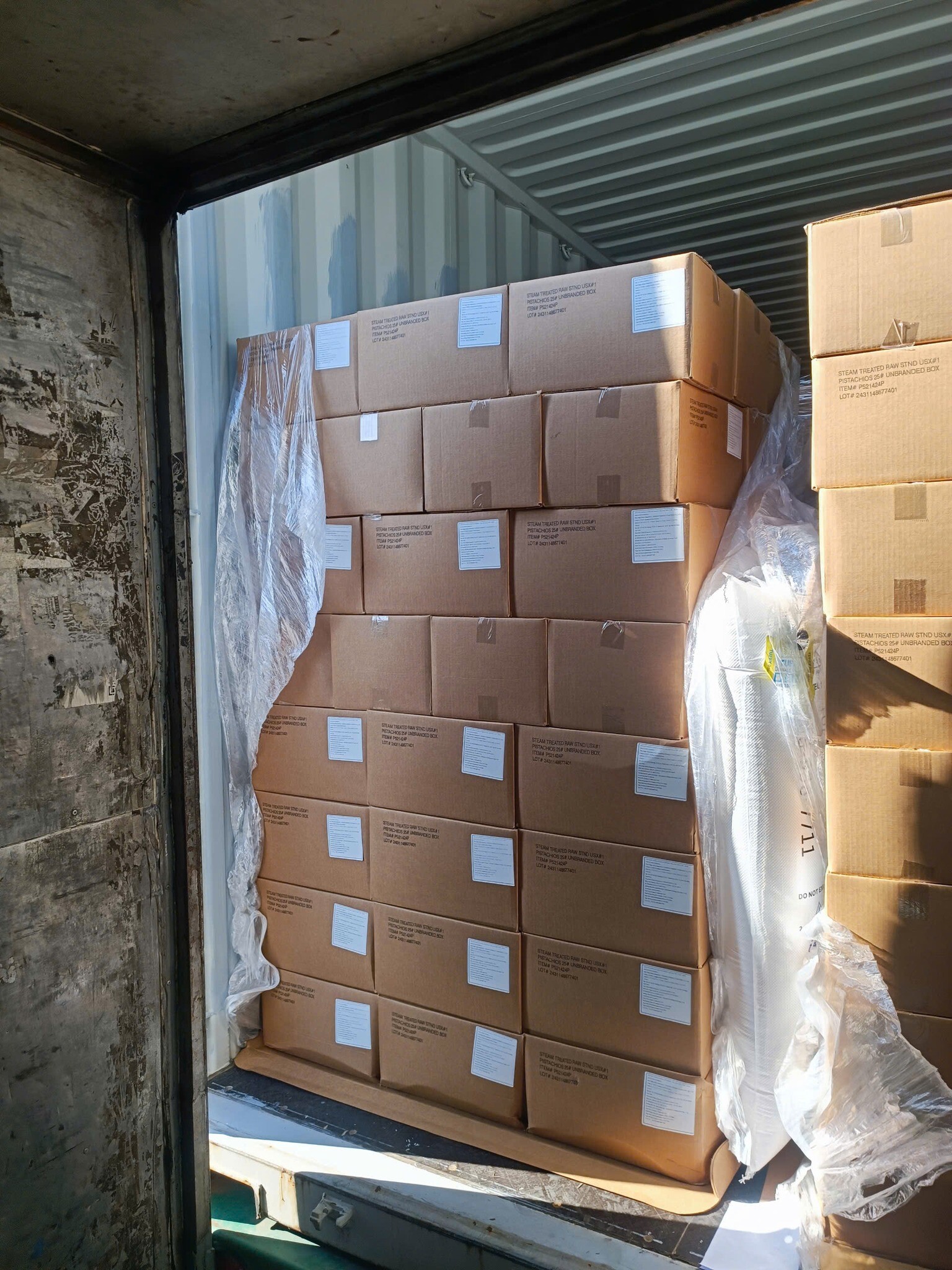 Trading Perfect Partner 5