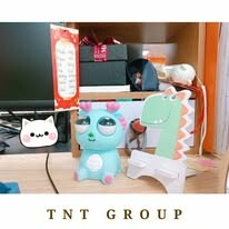 TNT GROUP 5