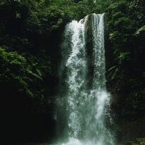 Du Lịch Thác Đamb'ri 10