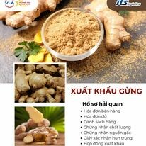 ITS VN - ITS Logistics 5