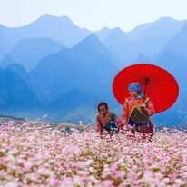 Red Coral Travel & Event 7