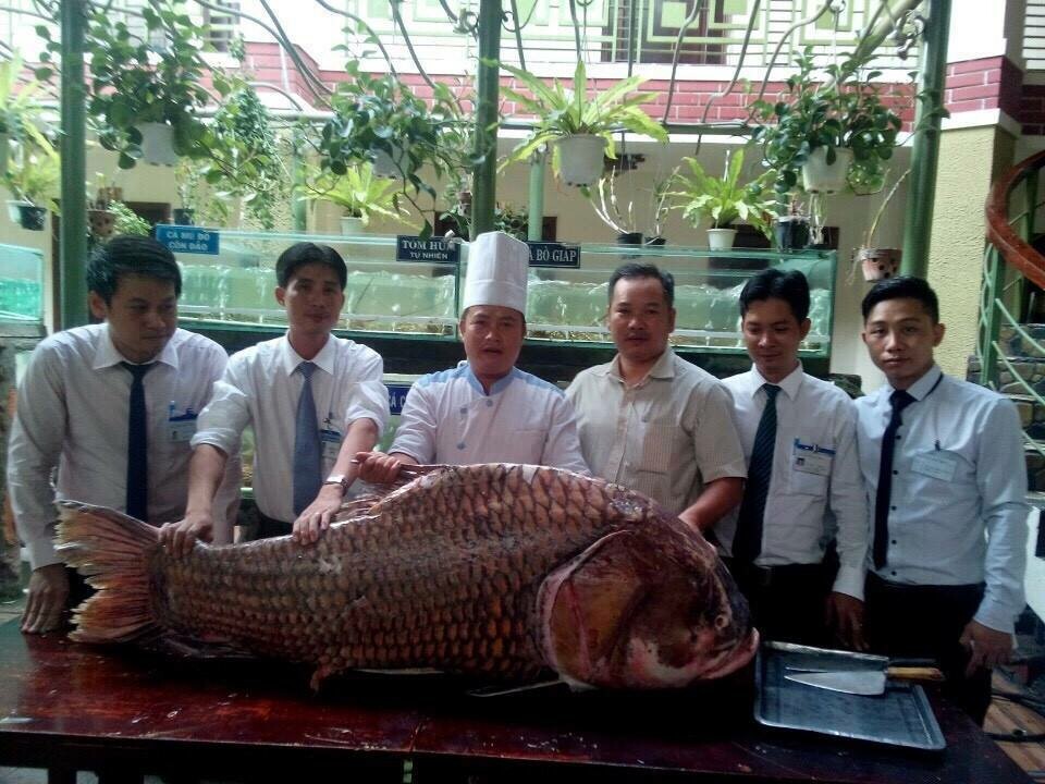 Hệ Thống Nhà Hàng Sơn Thủy 6