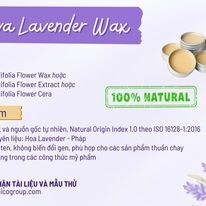 Chemico Việt Nam 8