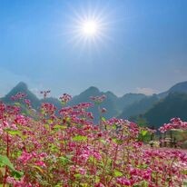 Red Coral Travel & Event 8