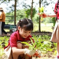 Làng Sinh Thái Đồng Mộc 2