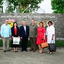 Giống Gia Cầm Lượng Huệ 15