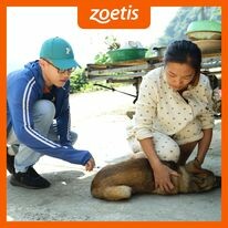 Zoetis 12