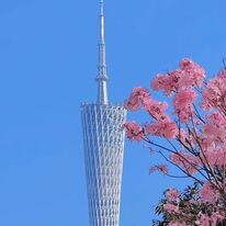 Red Coral Travel & Event 6