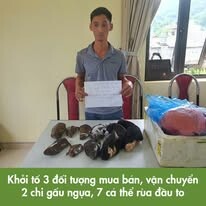 Wildlife Conservation Society 8