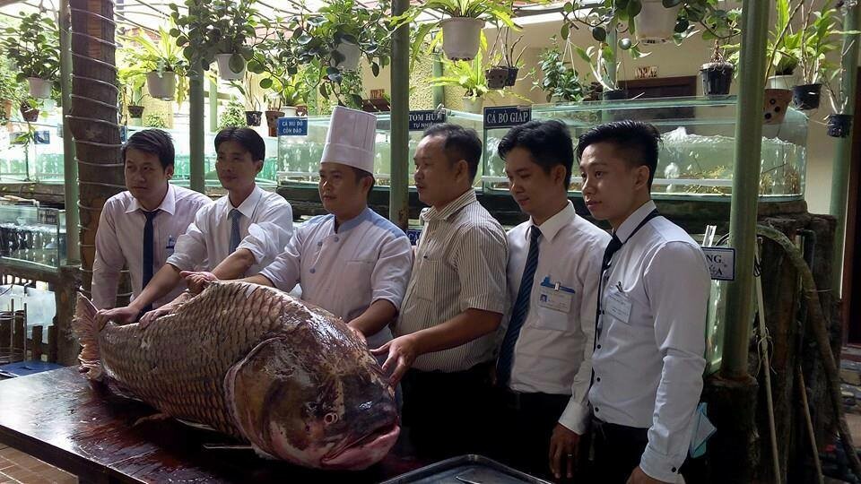 Hệ Thống Nhà Hàng Sơn Thủy 7