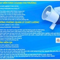 ADL Paper Packaging 15