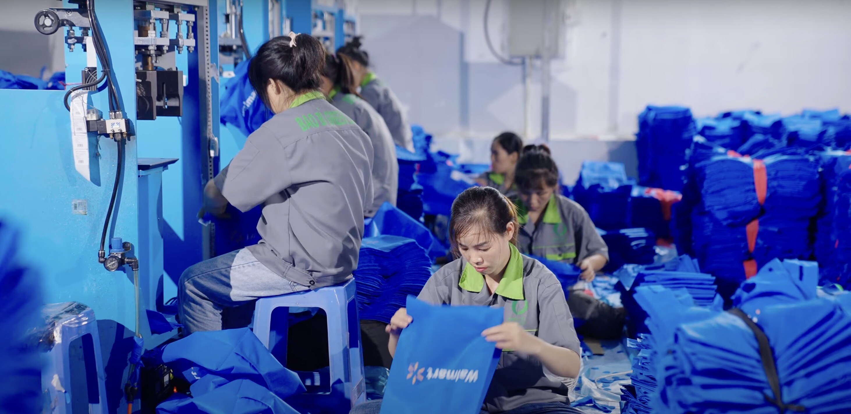 Bao Bì Green Life 7