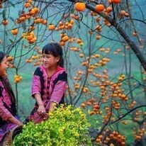 Red Coral Travel & Event 9