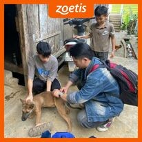 Zoetis 5