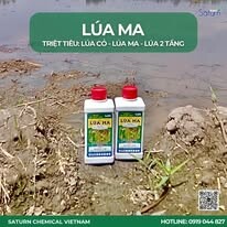 Saturn Chemical Việt Nam 2