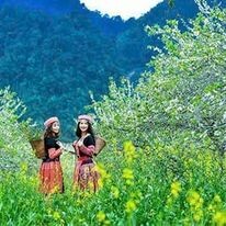 Red Coral Travel & Event 12