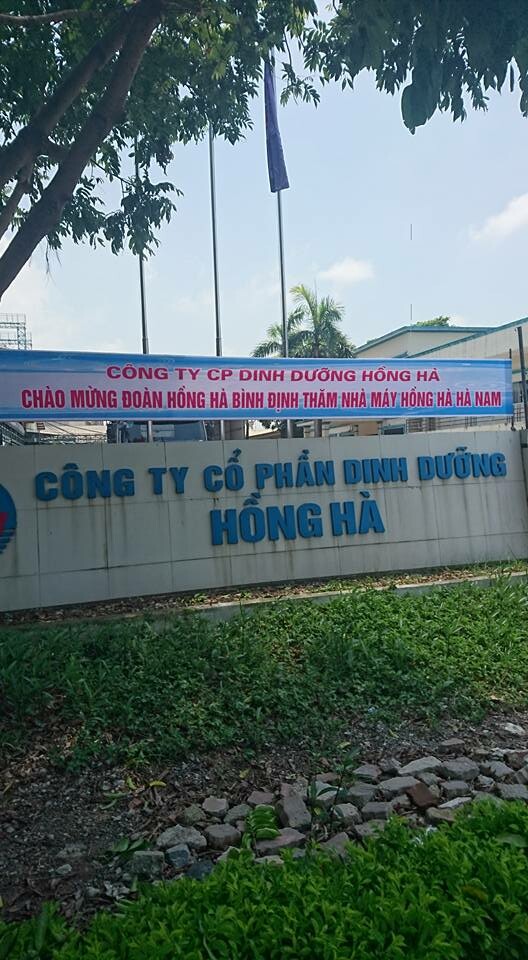 Hồng Hà Bình Định 2