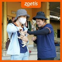 Zoetis 9