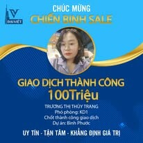 Địa Ốc Đại Việt 4