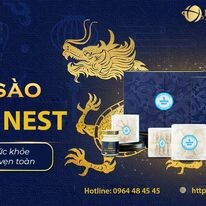Dược phẩm HAPICO 11