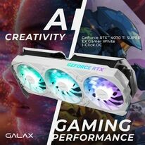 Starfish VN Distributor 11