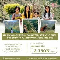 Times Travel Việt Nam 12