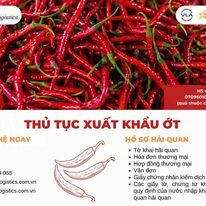 ITS VN - ITS Logistics 11