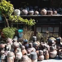 Đầu Tư Và Phát Triển Đại Dương Xanh - Blue Ocean Education 8