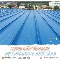 Butraco Việt Nam 10