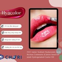 Chemico Việt Nam 10