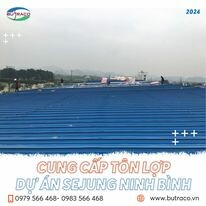 Butraco Việt Nam 9