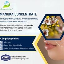 Chemico Việt Nam 12