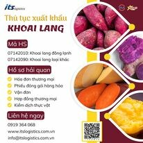 ITS VN - ITS Logistics 12