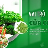 Học Viện Nutrime 10